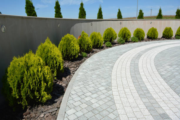Best Local Driveway Pavers  in Mount Carmel, OH
